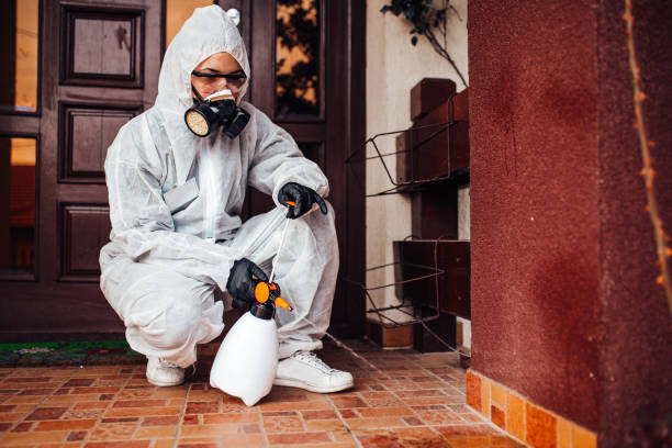 Reliable Wasp Removal contractor in Millen, GA by Show Me Pest Control