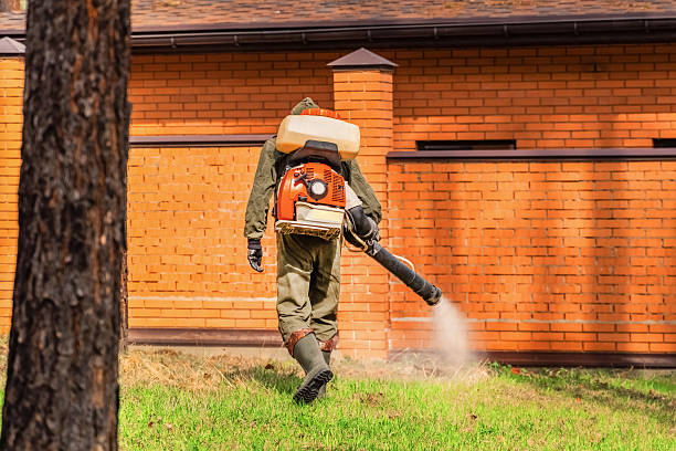 Top rated local Wasp Removal specialists in Millen, GA